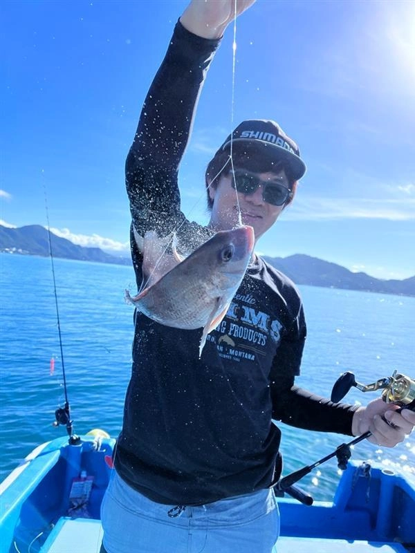 サビキでマダイ釣れました！ボートからの“サビキマダイ”最近流行ってます！釣れている今がチャンスです!!