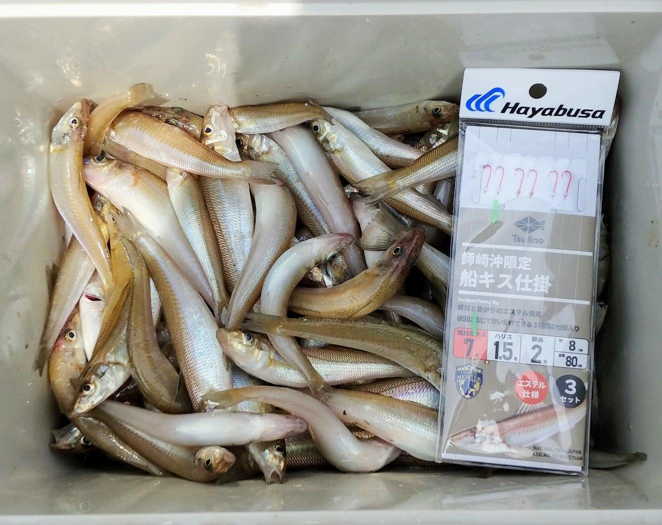 自己ベスト145匹!