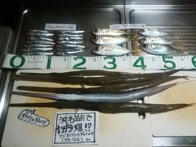 恵みに感謝