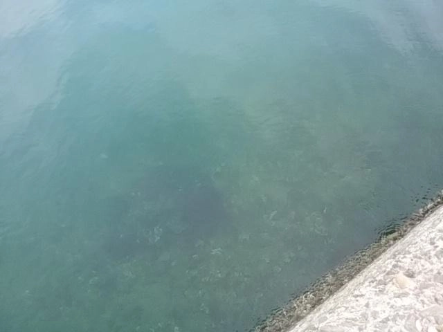スケスケ