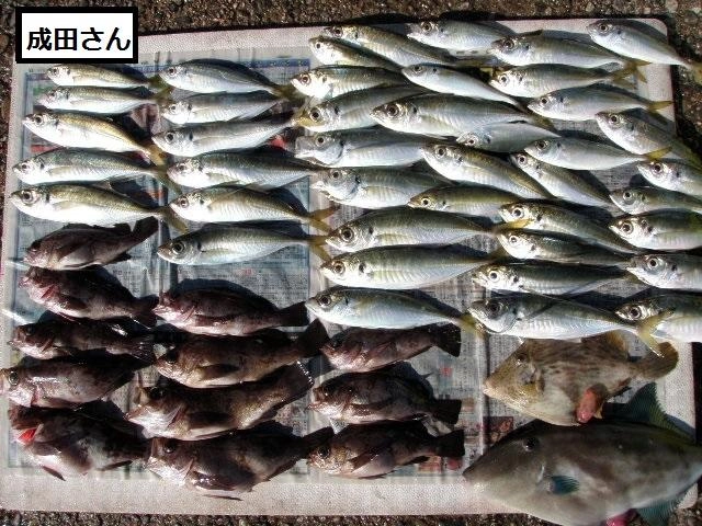 いろいろ釣れて大満足でした。