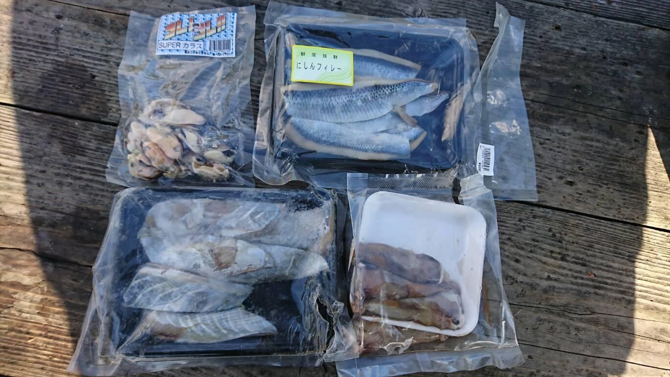 本日の青物狙いのエサ各種
