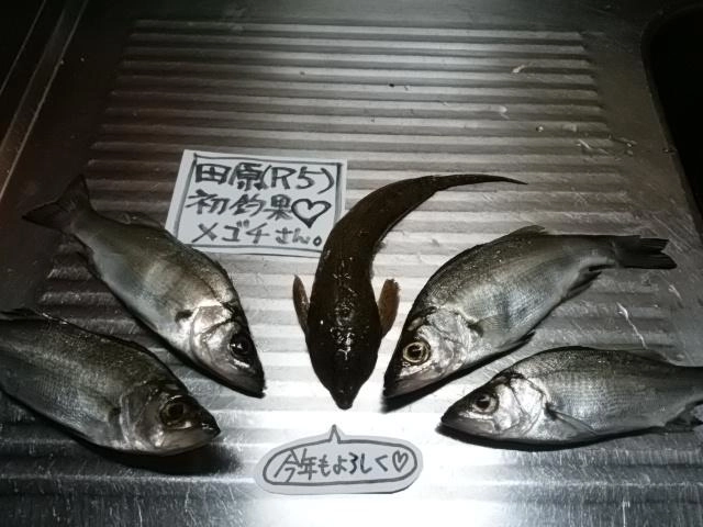本年田原初