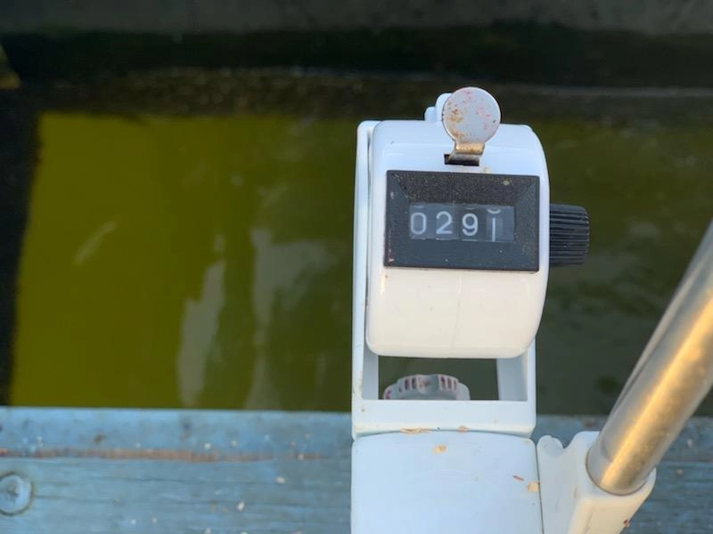 ３００匹に届かず撃沈・・・電動２台で手返しよく釣りをしている方は好調果でした！