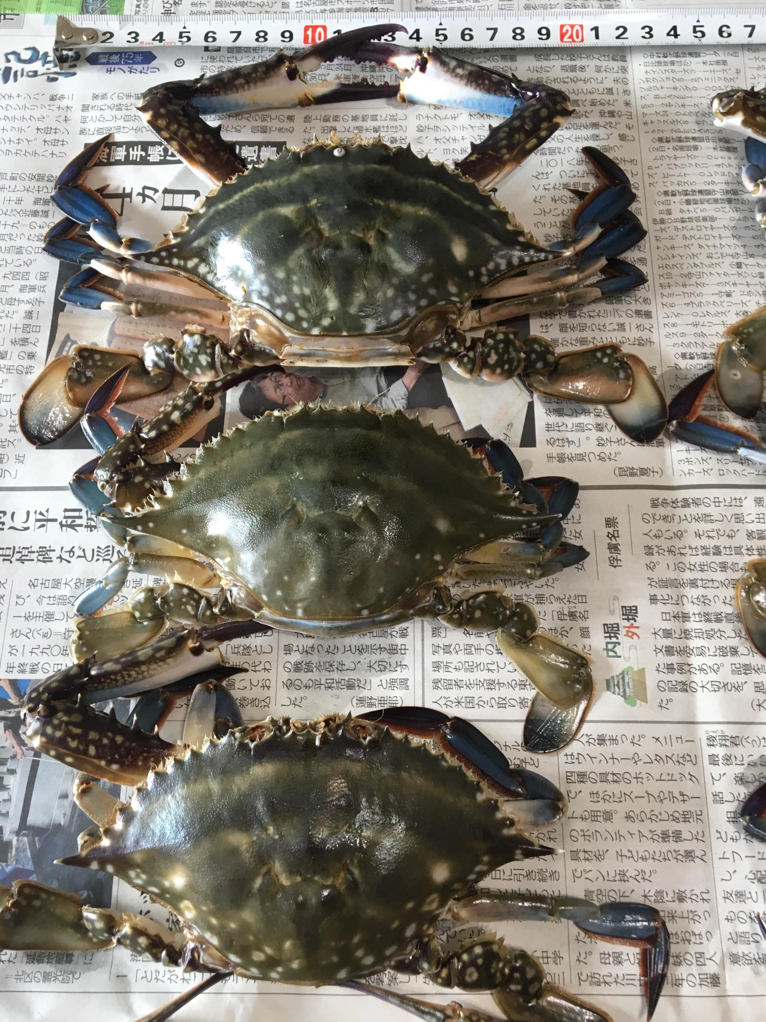 美味しく頂きますわ！