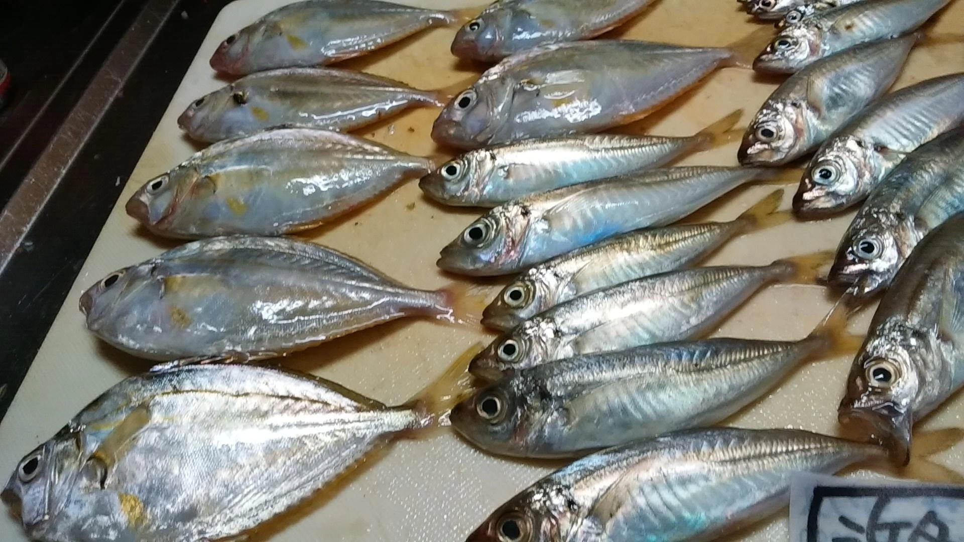 アジゼンメ