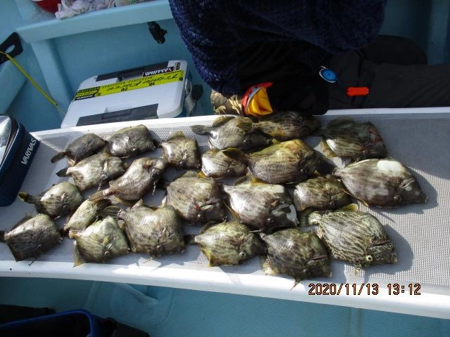 こちらのお匿名様はデラ旨過ぎるデカハギ混じりで今日のトップ釣果タイ②②枚狩りッ
