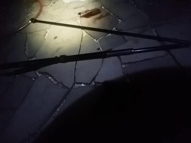 タモ折れた