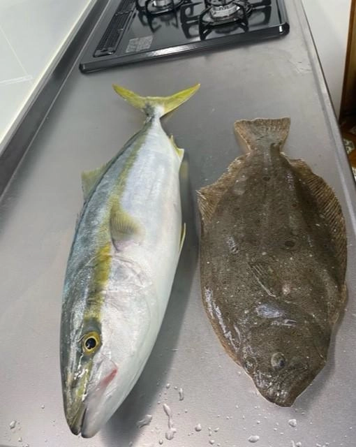 ワラサ＆ヒラメ。
ワラサは抵抗することなく意外にあっさりと釣れちゃいました。