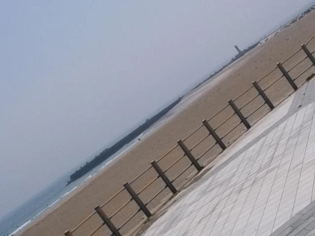 久しぶり