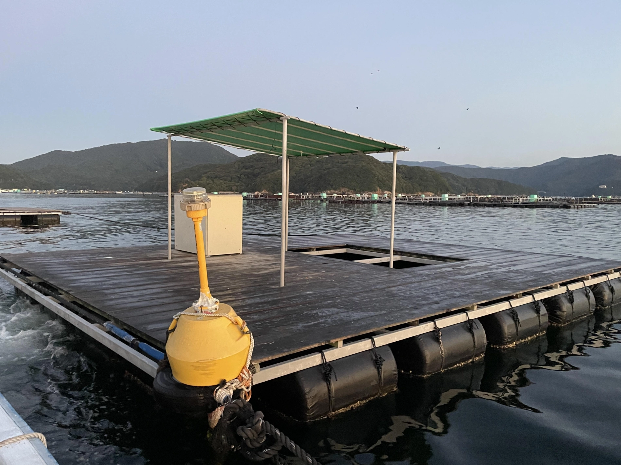 海の上でぷかぷか浮かびながら
ゆったり釣りができます！
基本筏の外側に向かって
釣りをしますが、
真ん中の穴が意外と穴場だったり…。