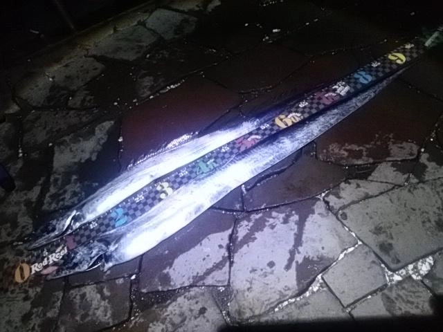 デカい