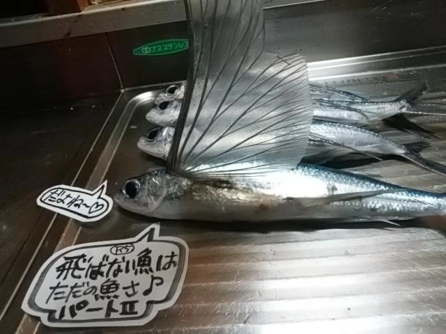 4連チャン