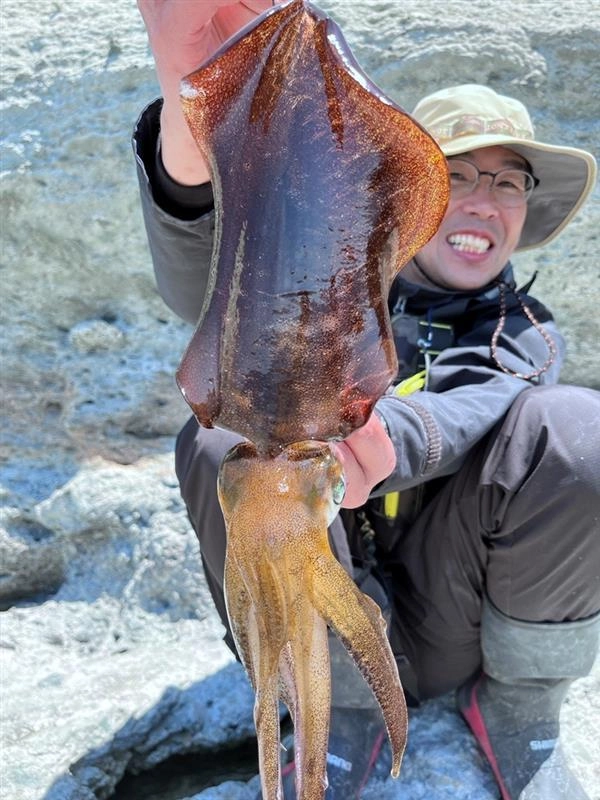 雲見沖磯で良型のアオリイカが釣れています！