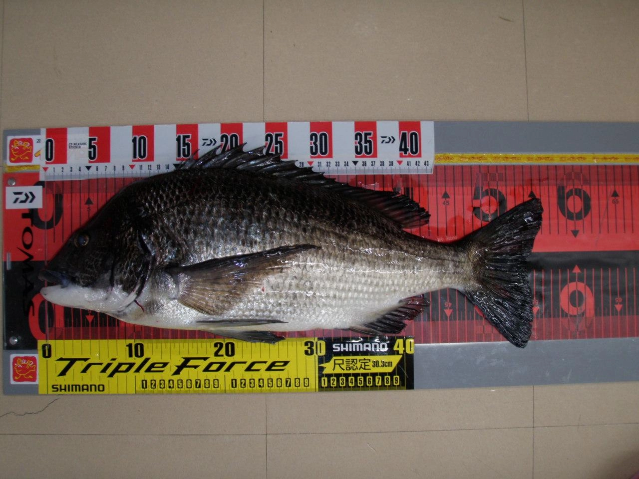 56ｃｍ　3ｋｇの大物！