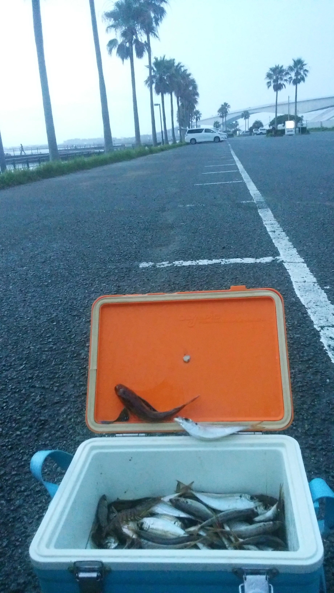 どしゃ降りで撤退！