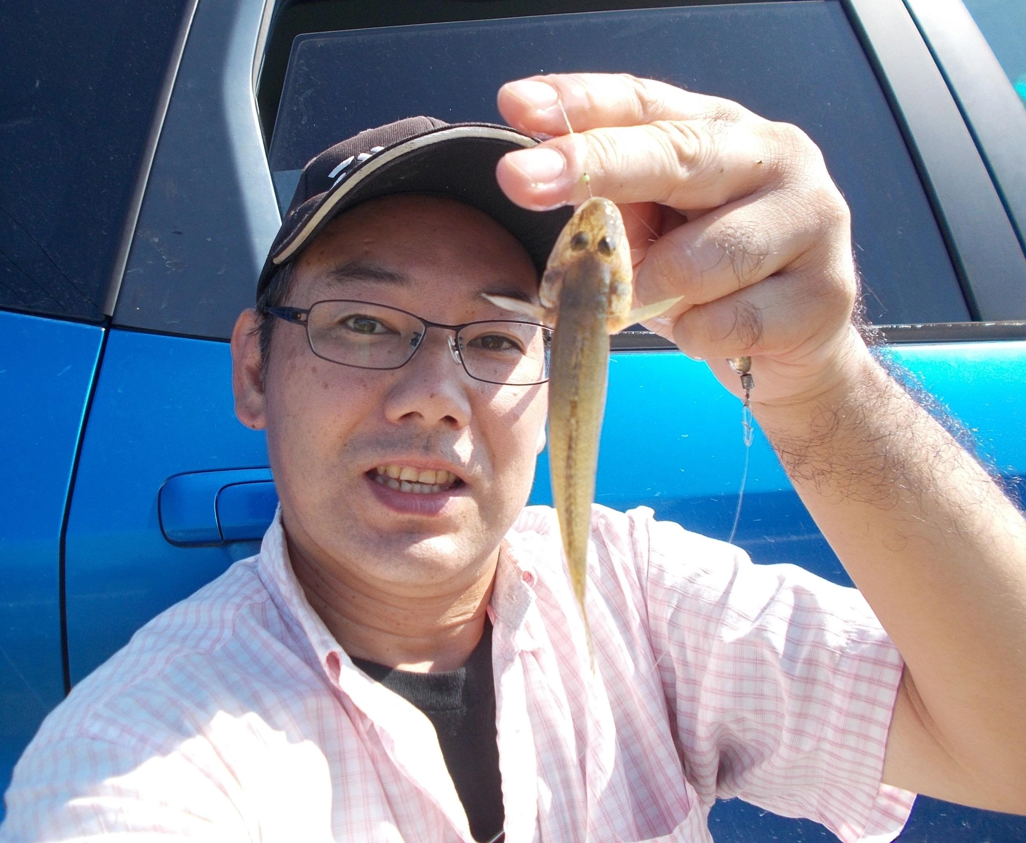 ハゼの釣況を確認してきました。思っているより大きなハゼが釣れてきました♪今年はハゼが多いですよ。