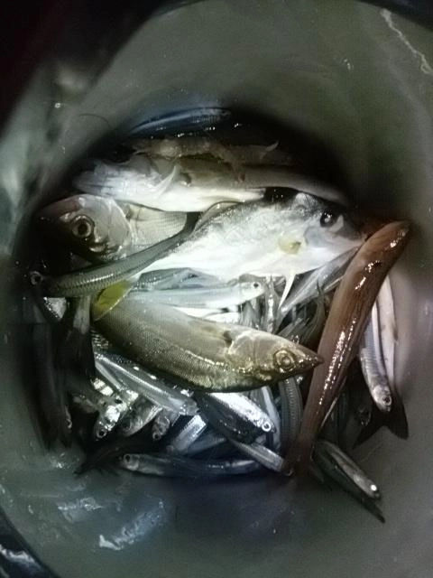 感謝