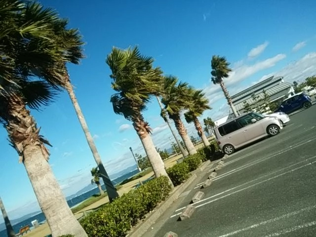 晴天