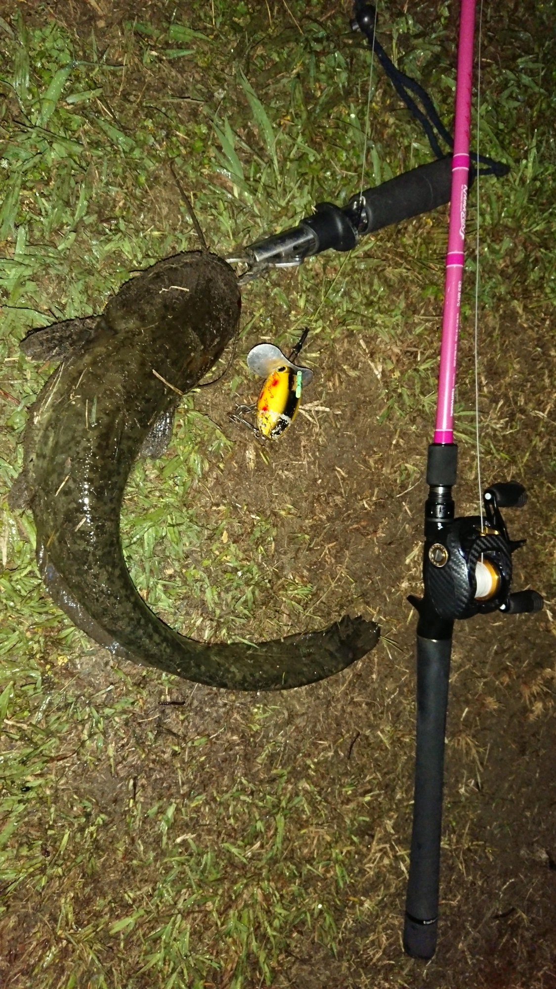 ルアーはザクトクラフト
ザグナ
