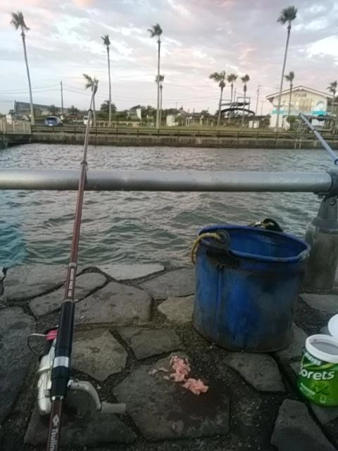 風強め