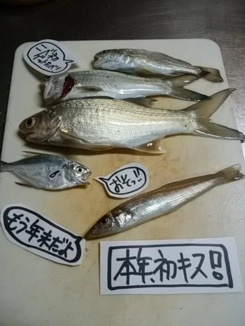 イシモチ初ゲット！