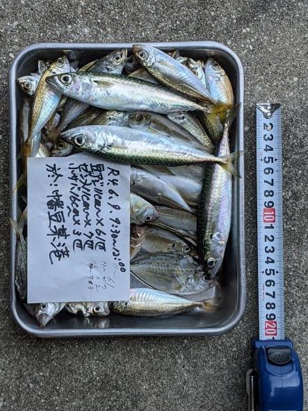 一部の心無い人たちのお陰で、釣り禁止の港が出てしまっています。
漁師さんの生活の場にお邪魔させてもらっているのだ、ということを
いつも肝に銘じて行動しましょう。
