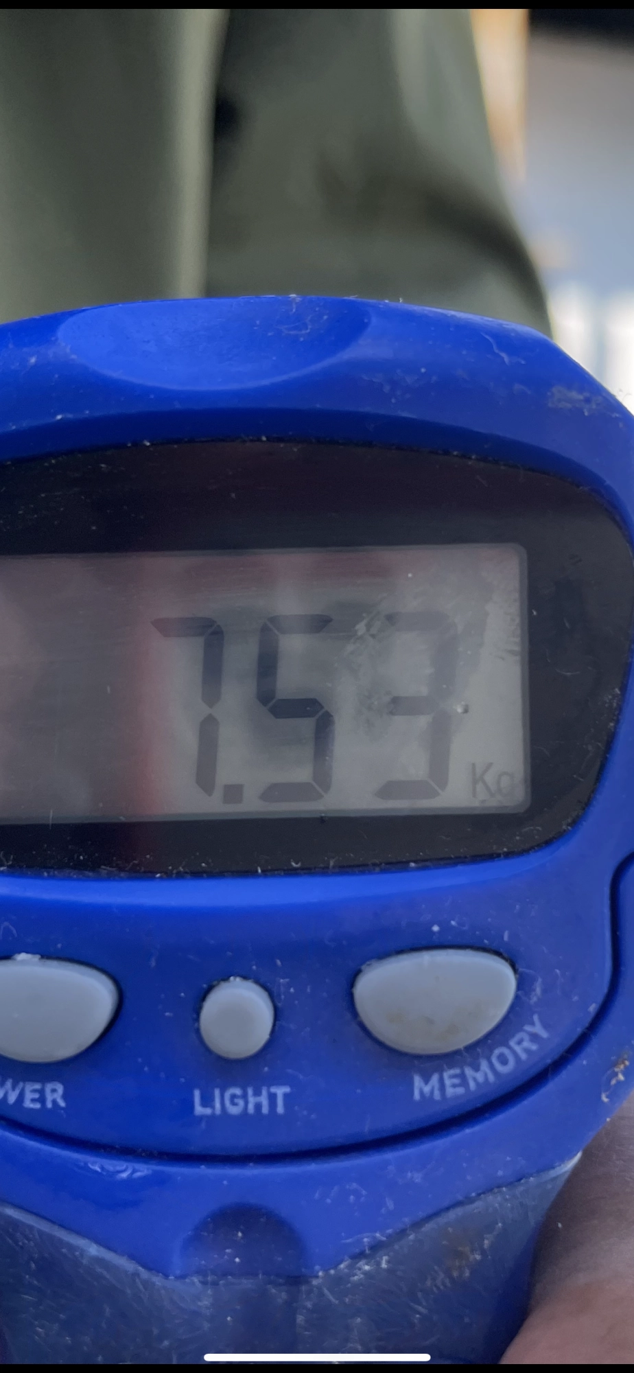 ワラサに比べると太みが違い過ぎるブリに近い【マル】サイズッ‼︎