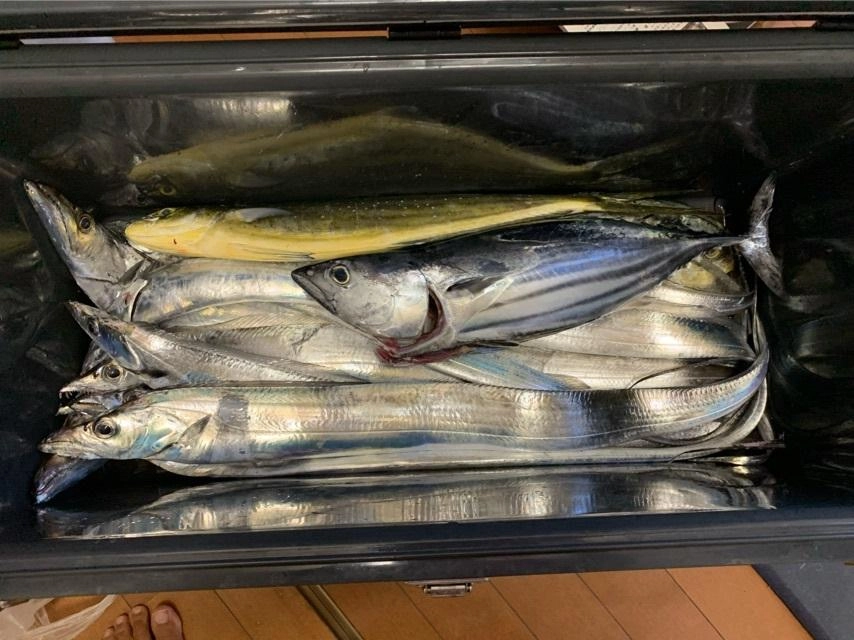 途中からタチウオ入れ掛かり！