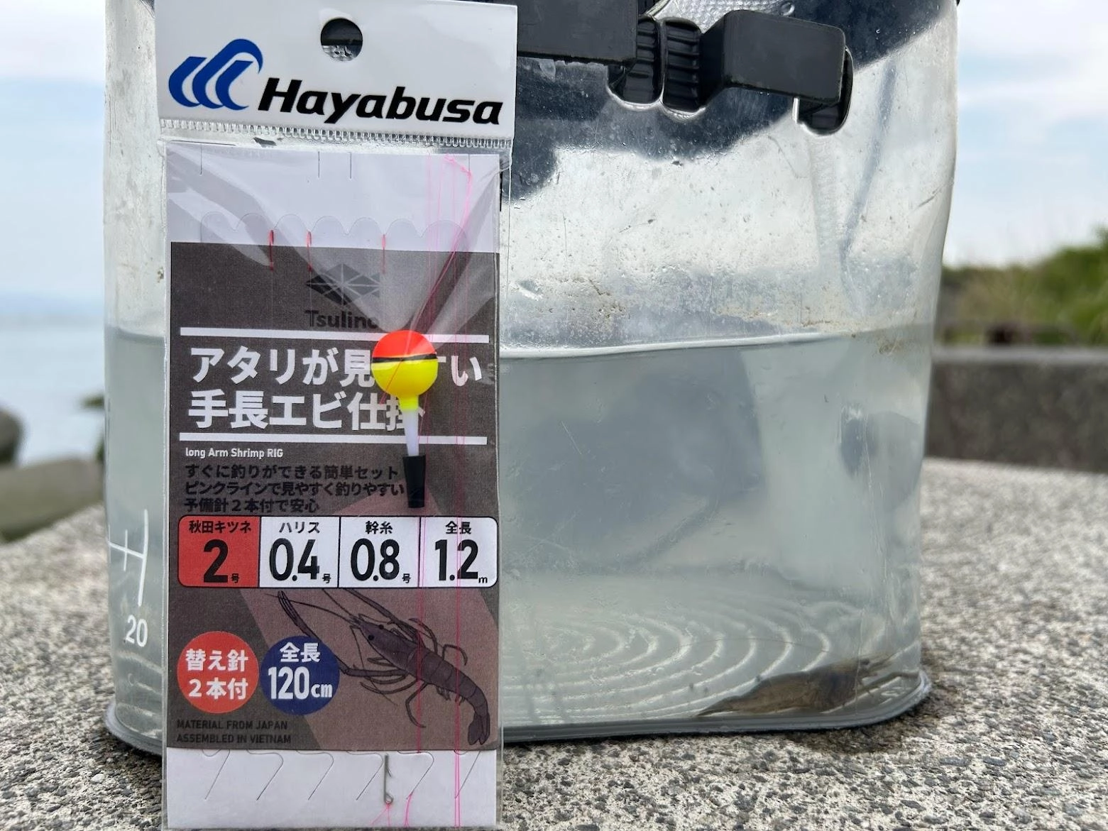 初夏～夏にシーズンを迎える手長エビがスタートしました。