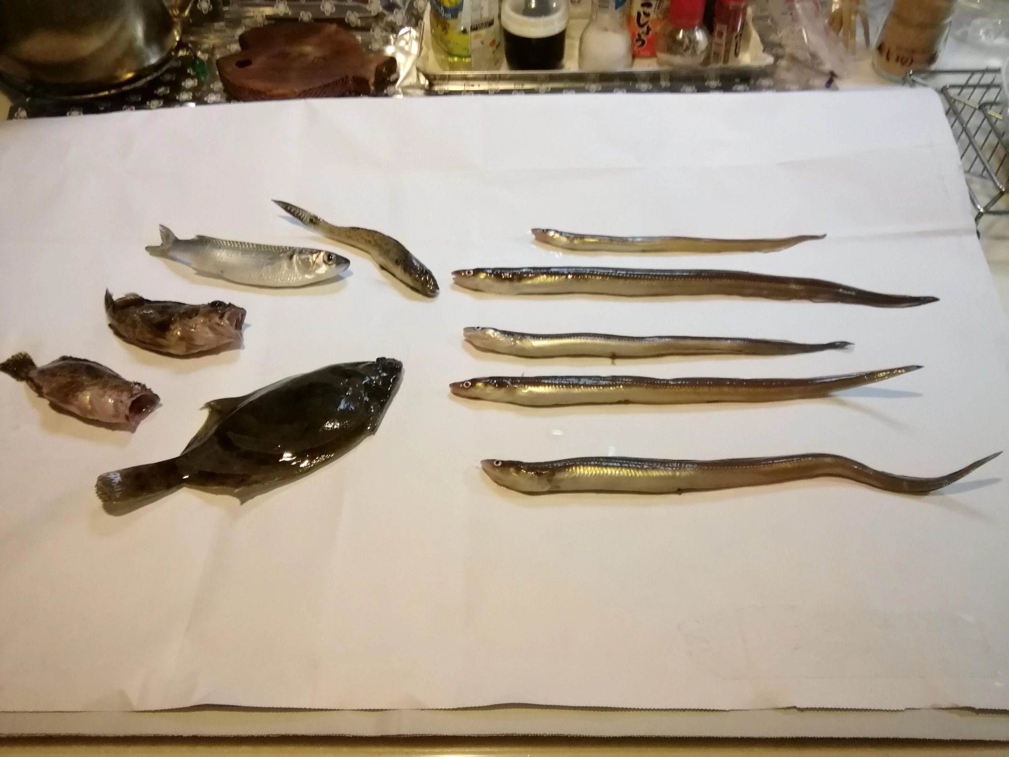 カサゴは別の所で釣りました。