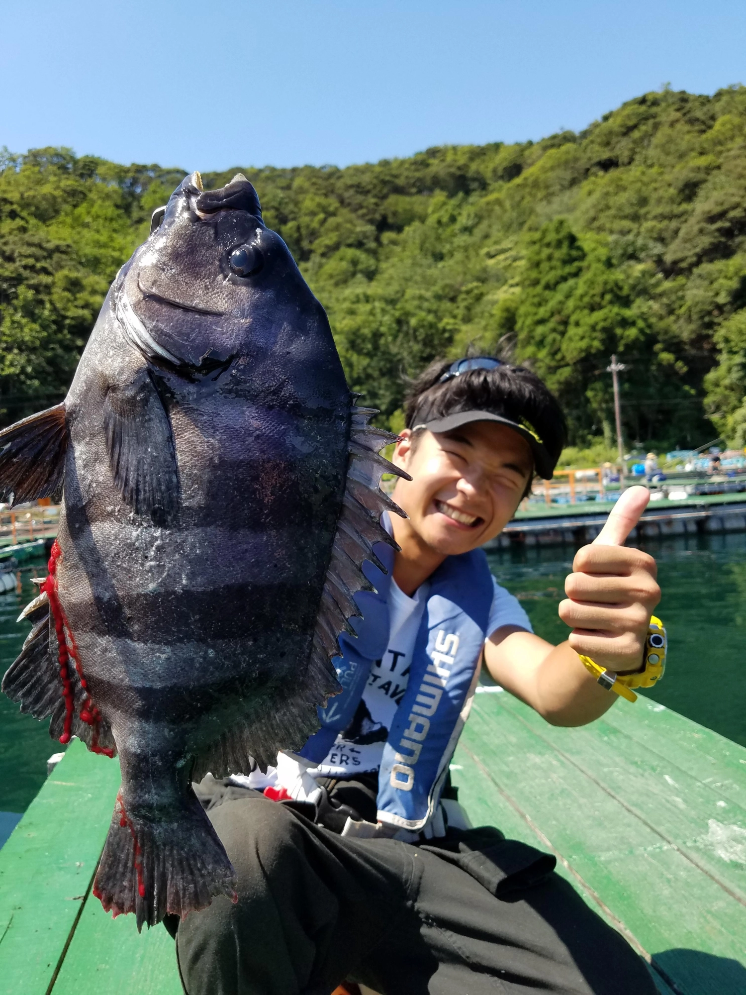 レア魚イシダイ！