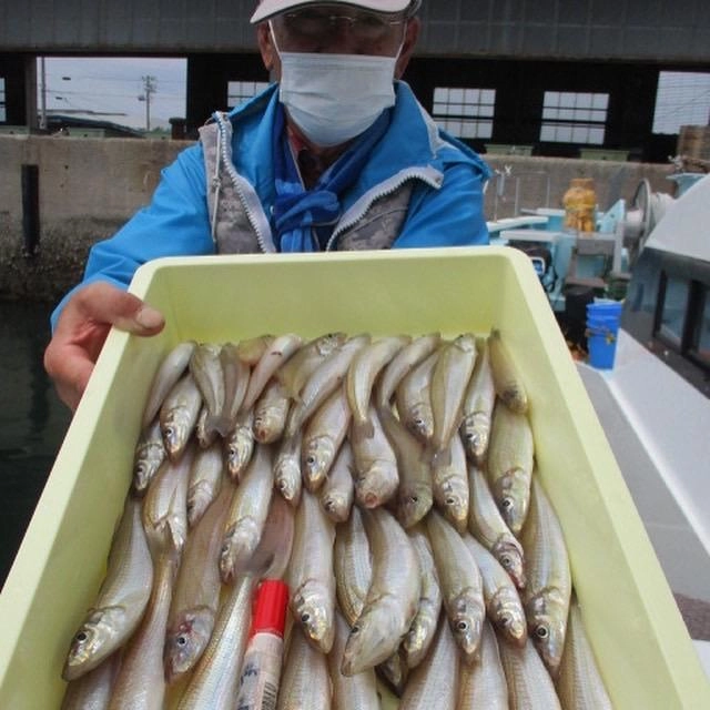 こちらのアシスタントも晩御飯のおかず以上のモロポチャギスを釣り上げましたよッ(^-^)