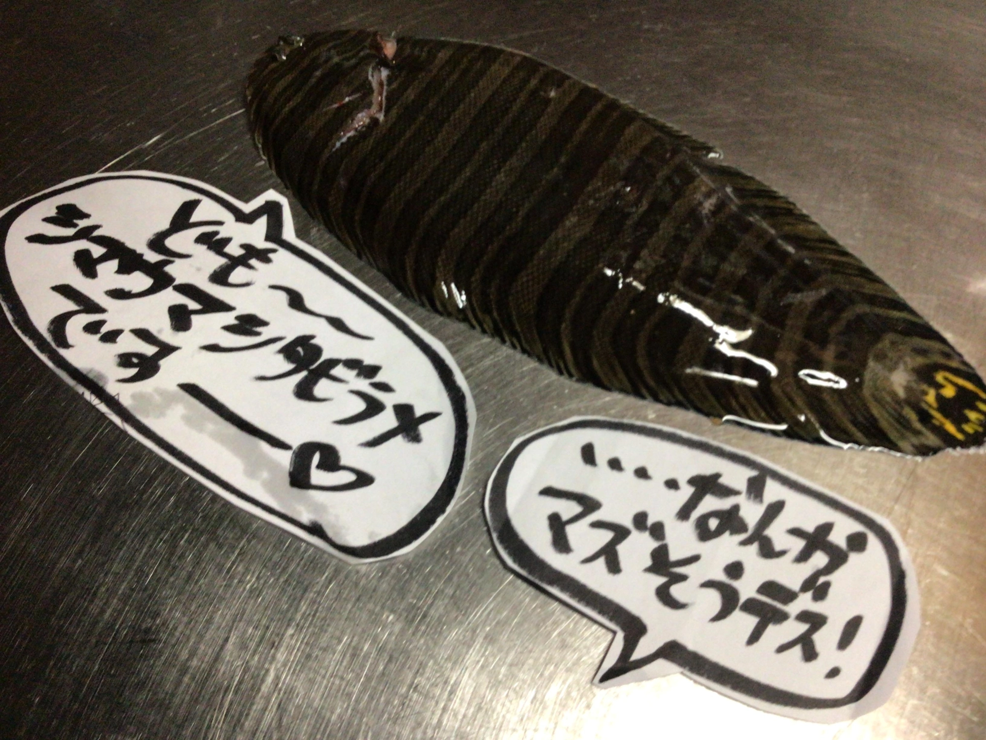 名前はシマウマシタビラメ、、、シマシマデス❗️。