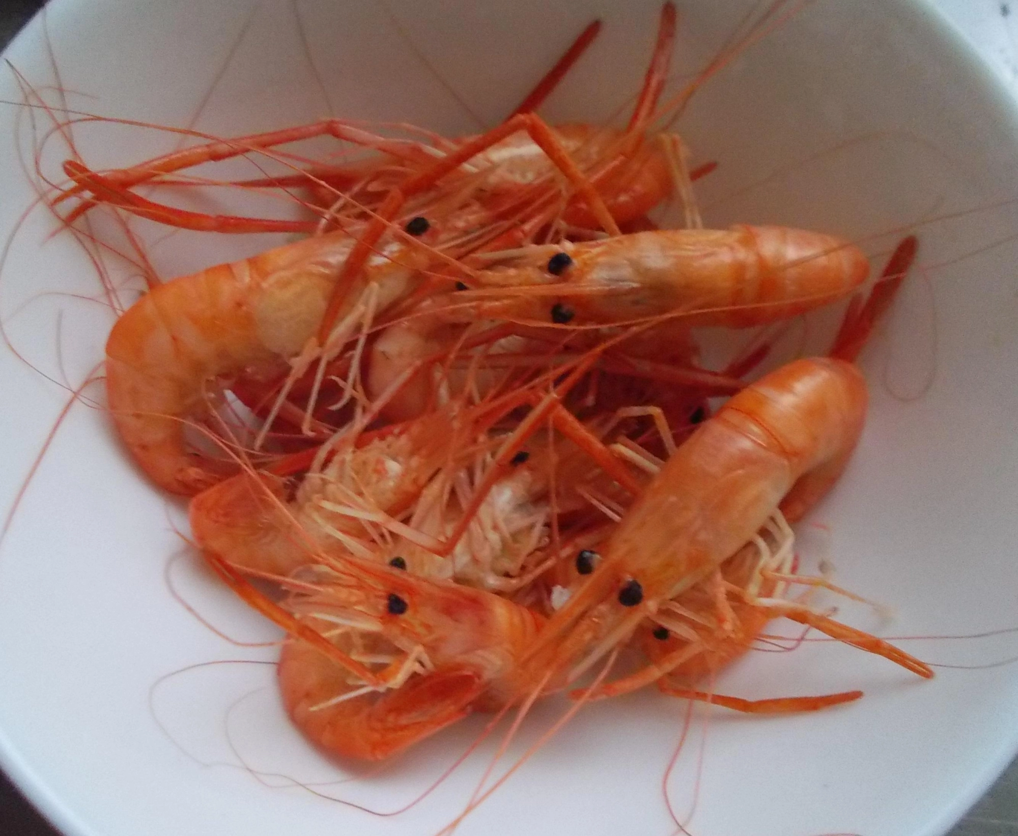 数時間から半日ほどすれば食べたものを消化するのでおいしくいただきましょう。素揚げでバリバリもいいですが塩ゆででもおいしくいただくことが出来ます。
