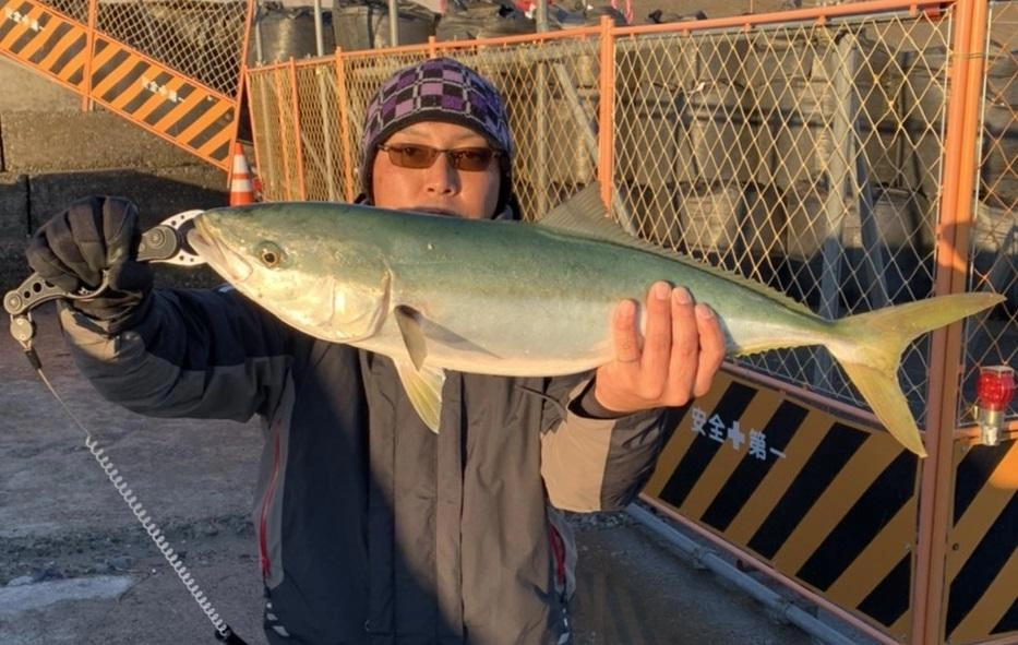 浜名湖内ではワラサ　７０ｃｍ
