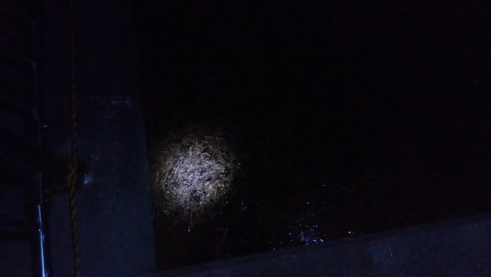 海面がゴミだらけ。