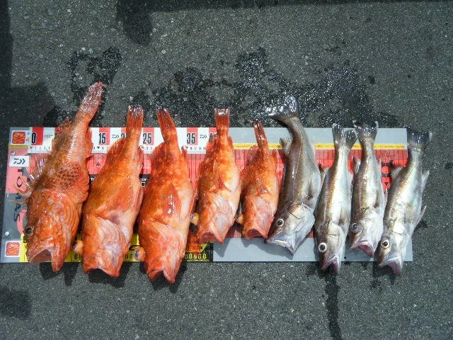 さすがの釣果です！