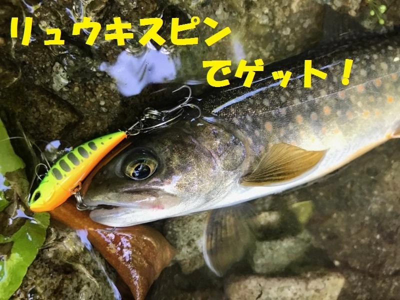 堰堤の白泡の中から出てきました。