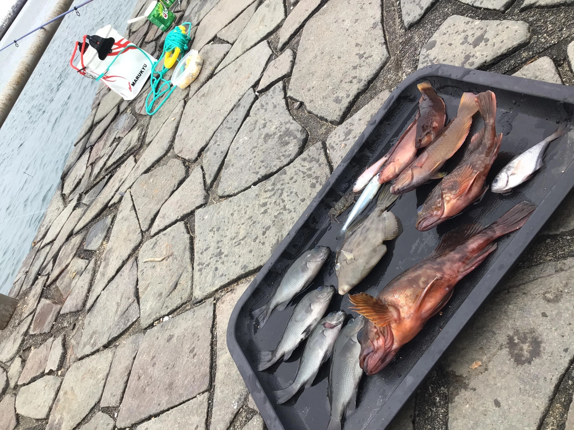 今日も恵みに感謝デス❗️