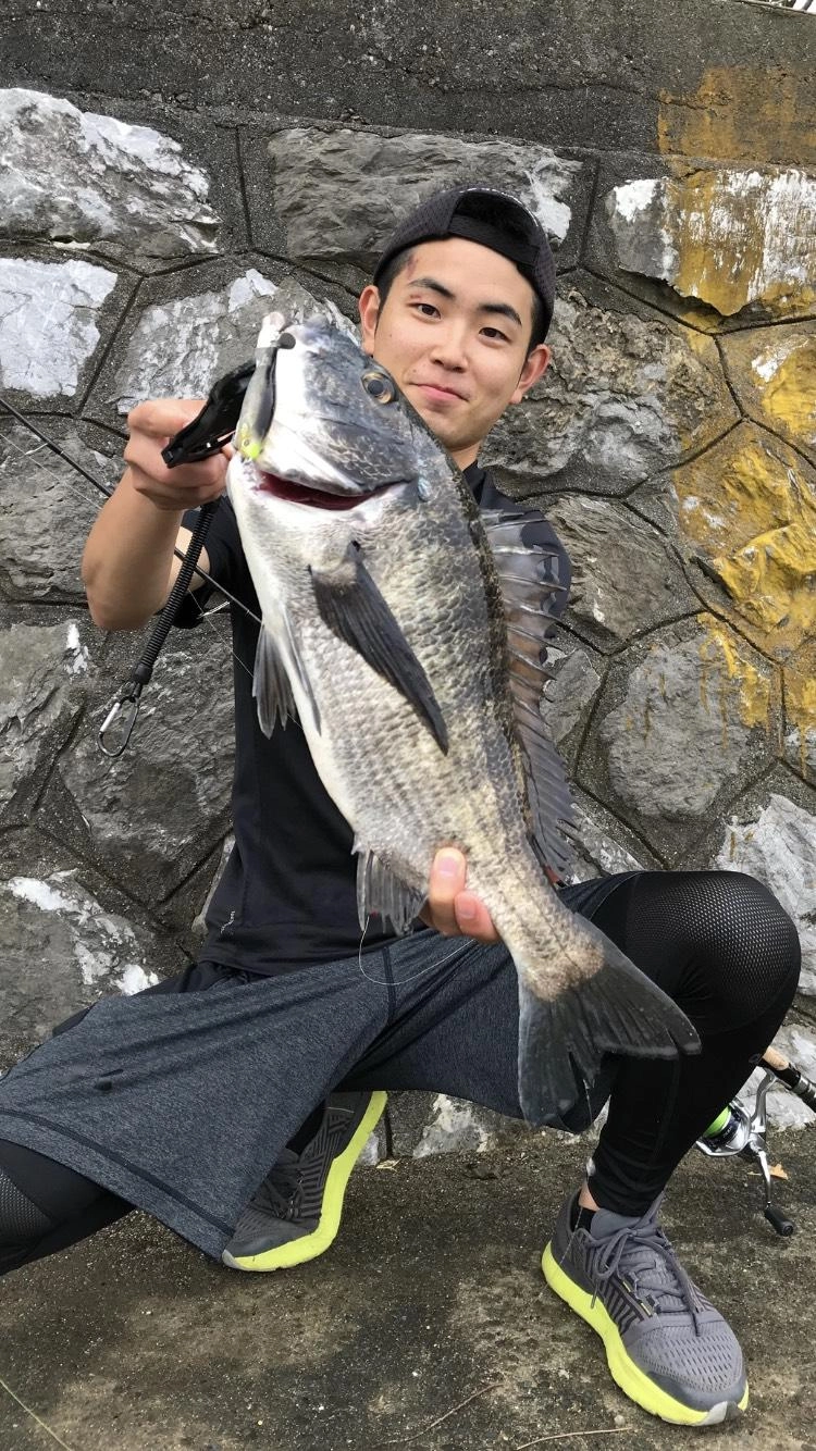 お客様　朝マズメにクロダイゲット！