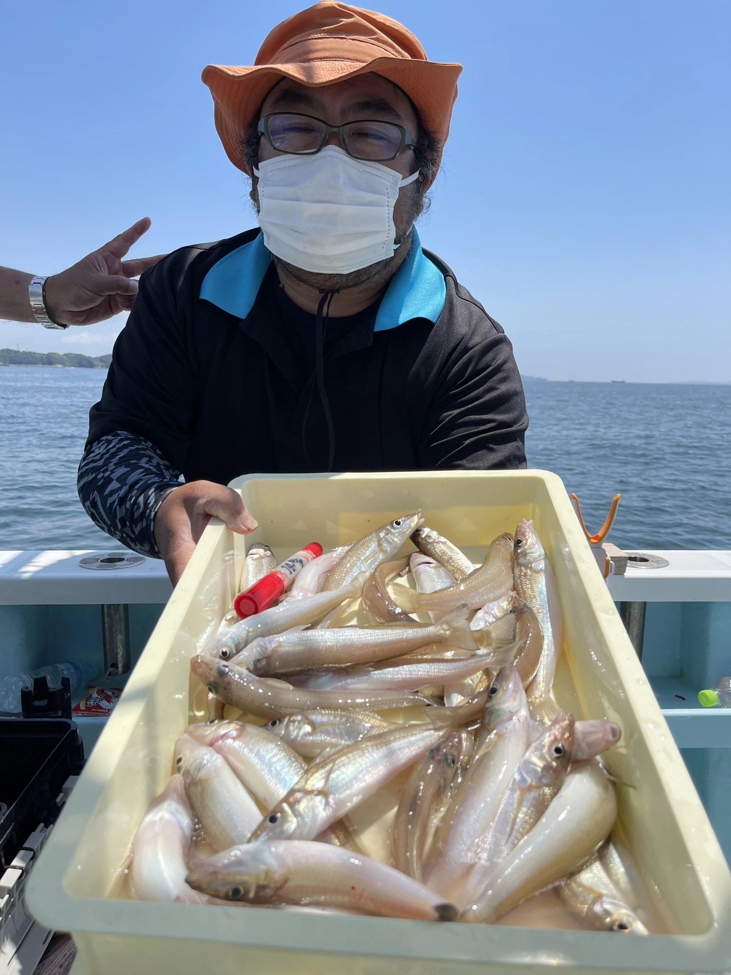 こちらのいつもの常連様はピンギス一切 無しのデカポチャギスを35本前後 釣りましたッ(・∀・)