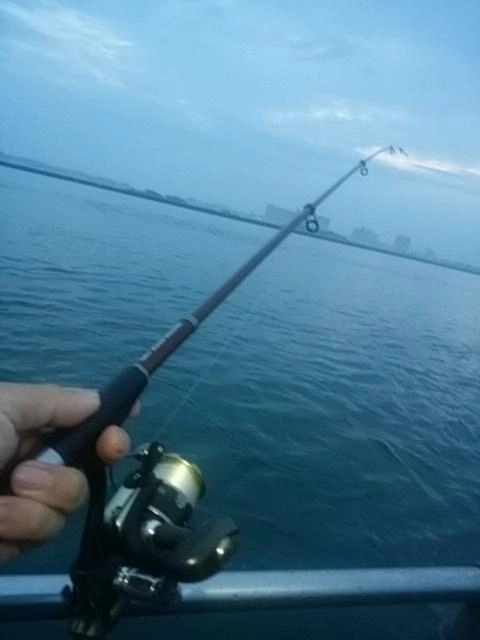 朝霧だ