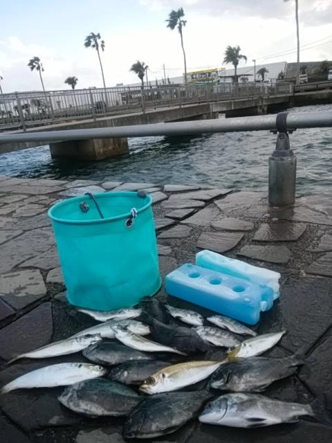雨上がり