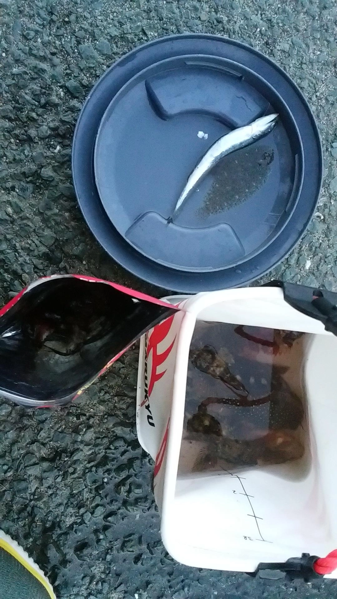 地味。