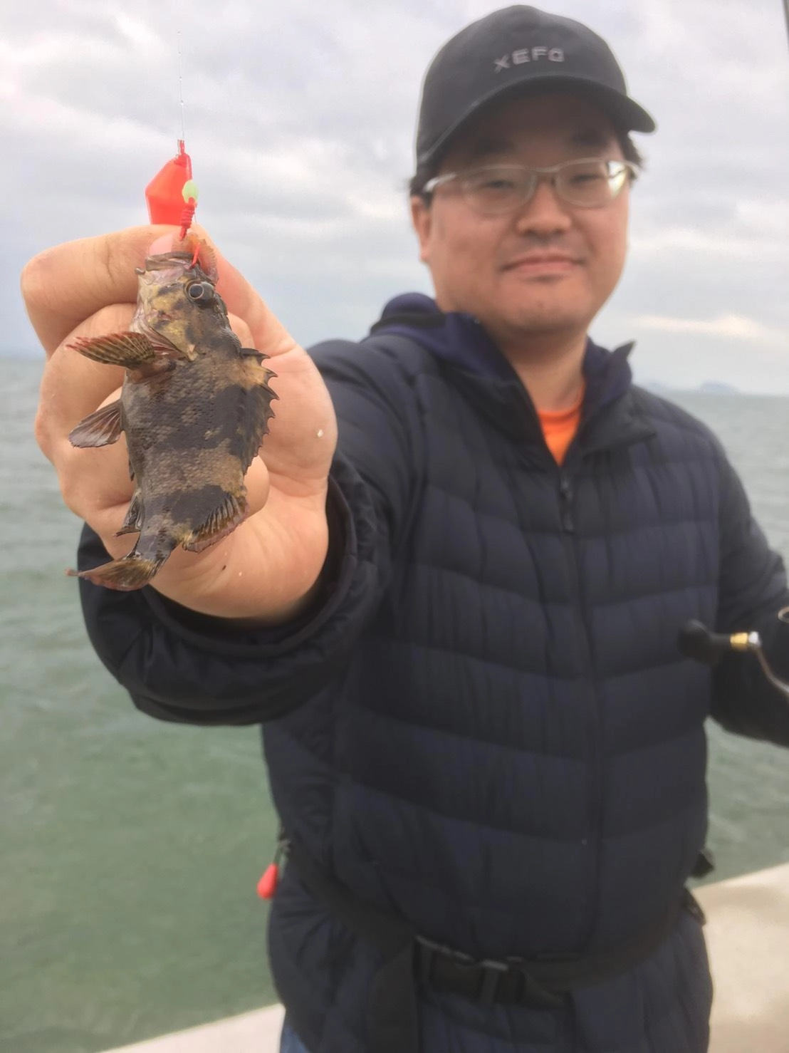 ブラクリでも根魚釣れます！