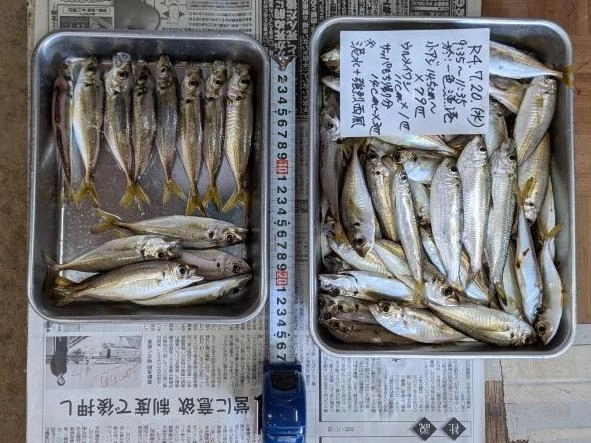サッパは10匹ほど。殆ど放流。
間断なく入れ食いが続いた。
泥水、西風、ニガシオが気がかりだったが杞憂に帰した。