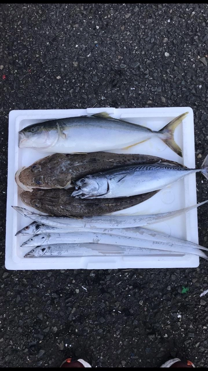 ありもと丸での釣果です