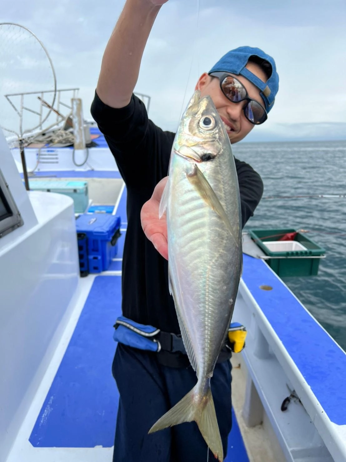 アジを釣るなら今がチャンスです！