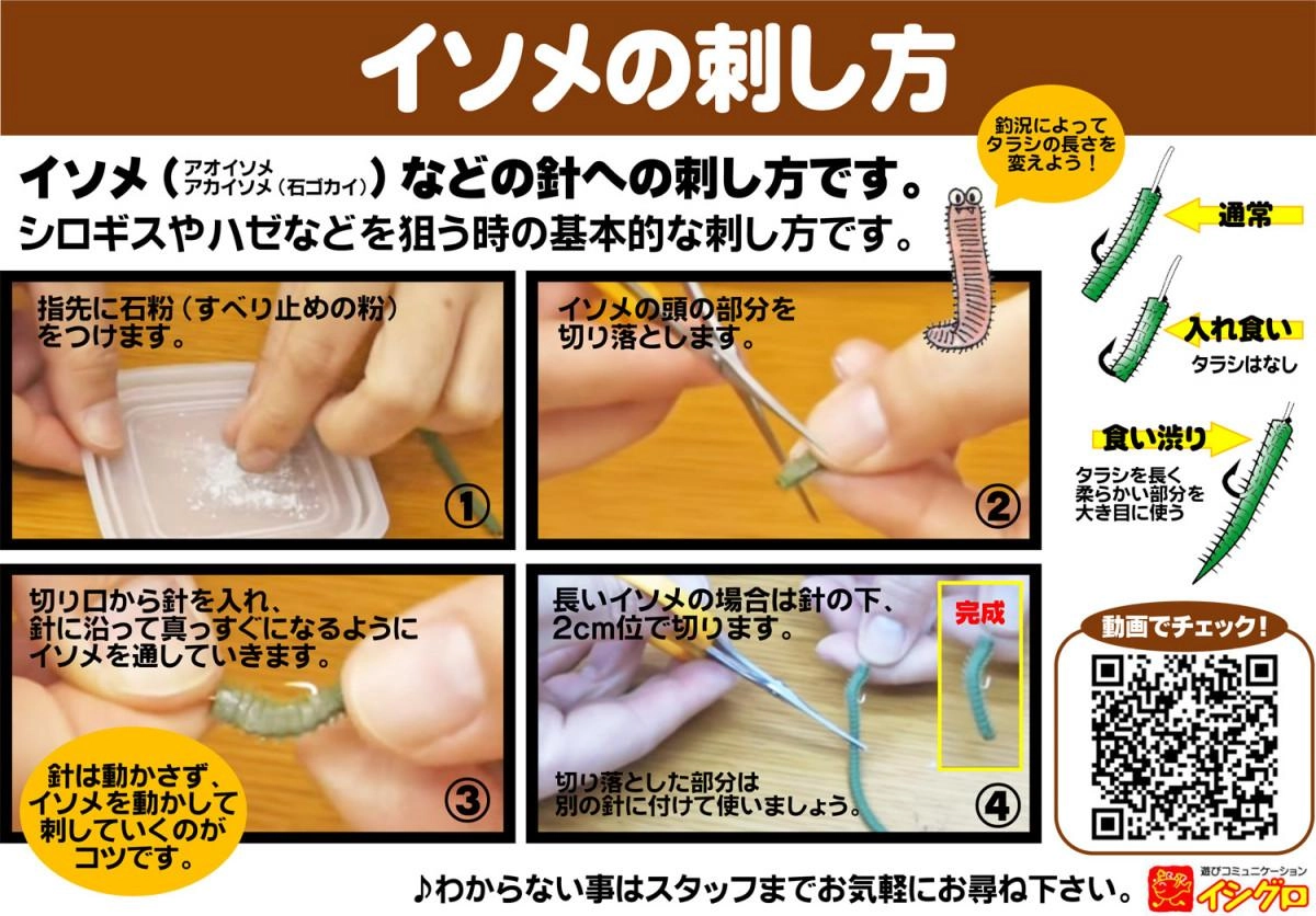 イソメの刺し方